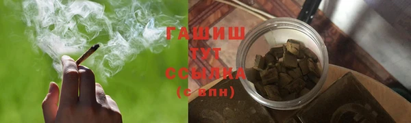 прущий лед Алзамай