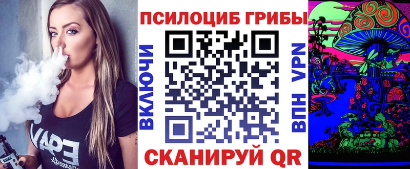 Псилоцибиновые грибы прущие грибы  Зубцов 